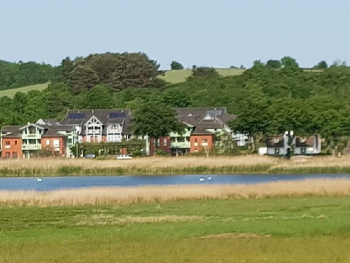 Ferienwohnung 4 Im Haus Am See Mit Wintergarten Und Terrasse Seedorf  المظهر الخارجي الصورة